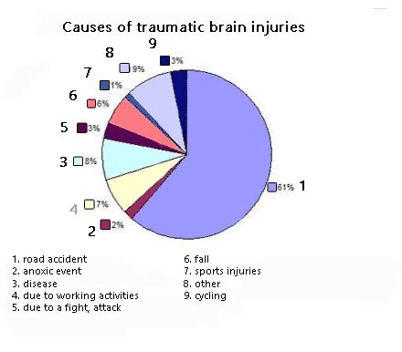 Causes of traumatic brain injuries